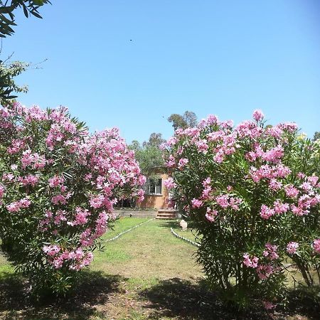 Villa Olia Tortolì Exterior foto